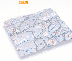 3d view of Calui