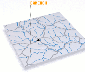 3d view of Bamékok