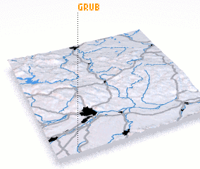 3d view of Grub