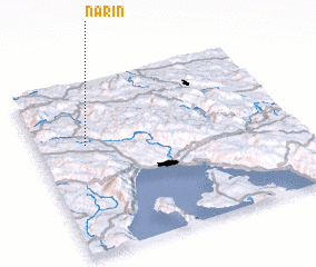 3d view of Narin