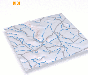 3d view of Bidi