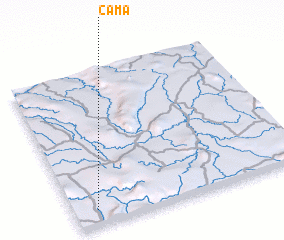 3d view of Cama