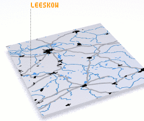 3d view of Leeskow