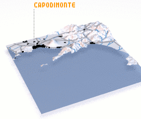 3d view of Capodimonte