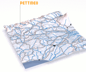 3d view of Pettineo