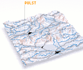 3d view of Pulst