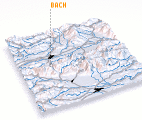 3d view of Bach