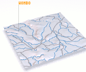 3d view of Wombo