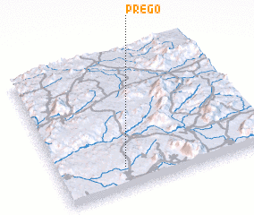 3d view of Prego