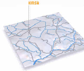 3d view of Kinsa