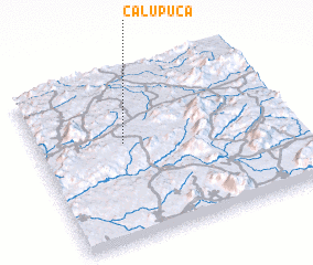 3d view of Calupuca