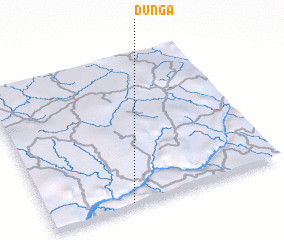 3d view of Dunga