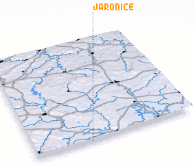 3d view of Jaronice