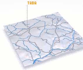 3d view of Taba