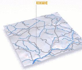 3d view of Kikaie