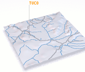 3d view of Tuco