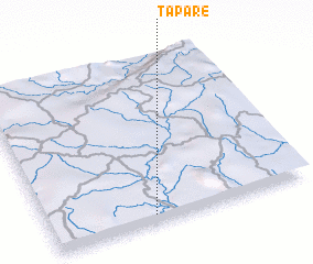 3d view of Taparé