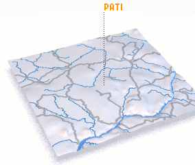 3d view of Pati