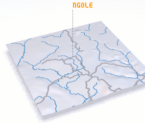 3d view of Ngolé