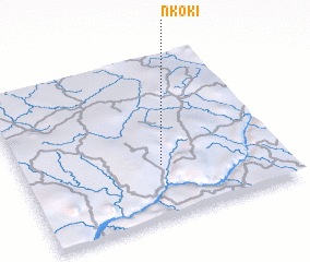 3d view of Nkoki