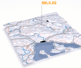 3d view of Mali Log