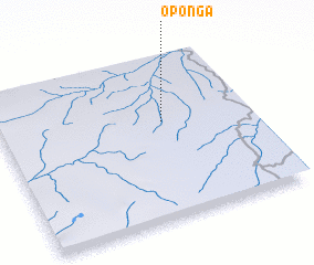 3d view of Oponga