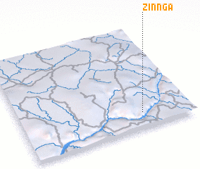 3d view of Zinnga