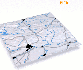 3d view of Ried