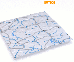 3d view of Mutice