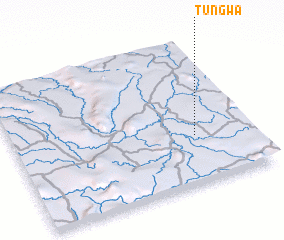 3d view of Tungwa