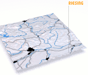 3d view of Riesing