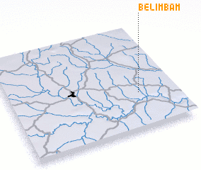 3d view of Bélimbam