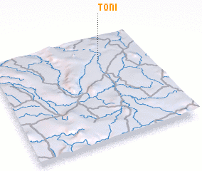 3d view of Toni