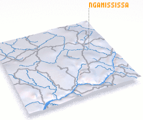 3d view of Ngamississa