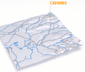3d view of Capambo
