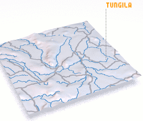 3d view of Tungila