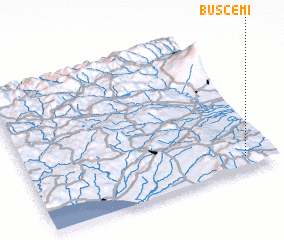 3d view of Buscemi