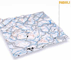 3d view of Paduli