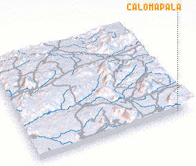 3d view of Calomapala