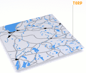 3d view of Torp