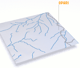 3d view of Opari