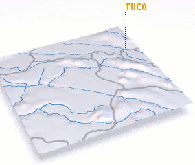 3d view of Tuco