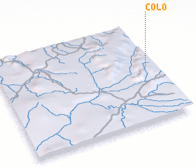 3d view of Colo