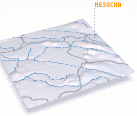 3d view of Mesocha