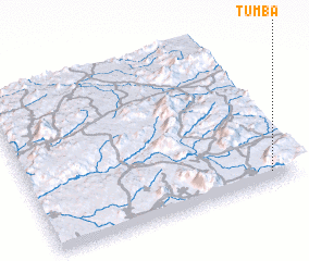 3d view of Tumba