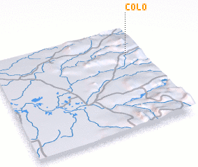 3d view of Colo