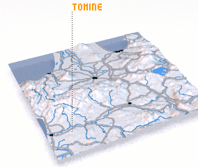 3d view of Tomine