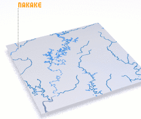 3d view of Nakake