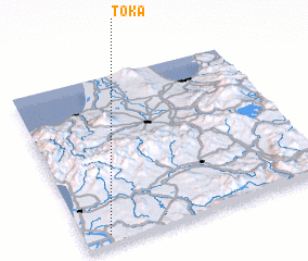 3d view of Tōka