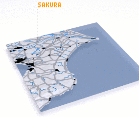 3d view of Sakura